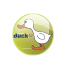 DUCK TV